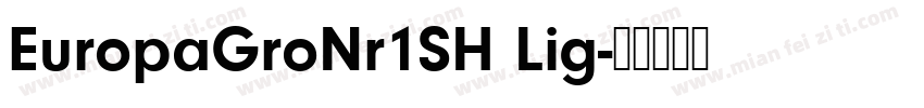 EuropaGroNr1SH Lig字体转换